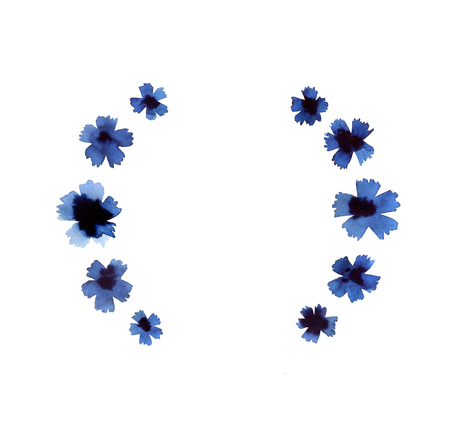 Cornflower composition with round space for text isolated on white backgroundの写真素材