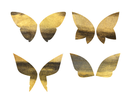 Set of fantasy butterfly wings with gold and black ink texture isolated on white backgroundの写真素材