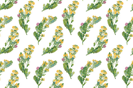 Vintage wild flowers. Seamless pattern with oil painted melilot on white backgroundの写真素材