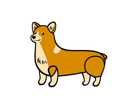 Vector corgi in cartoon style isolated on white backgroundのイラスト素材