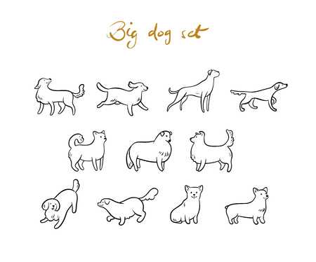 Set of vector outline dogs, isolated on white background.