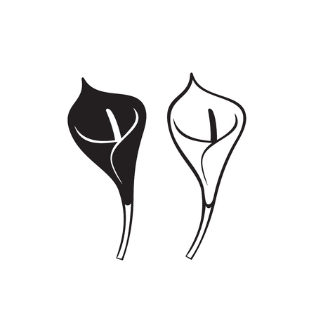 Vector Calla lily flower isolated on white background. Icons.のイラスト素材