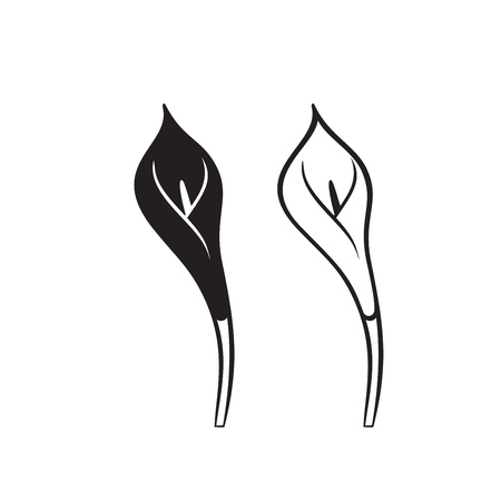 Vector Calla lily flower isolated on white background. Icons.のイラスト素材