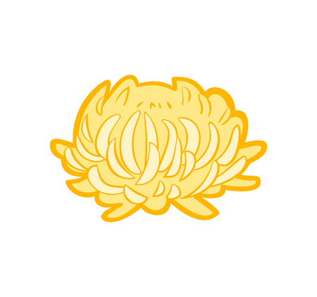 Yellow Aster. Vector icon in flat style isolated on white backgroundのイラスト素材