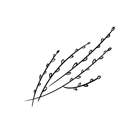 Pussy willow illustration. Branches with buds. Icons.のイラスト素材