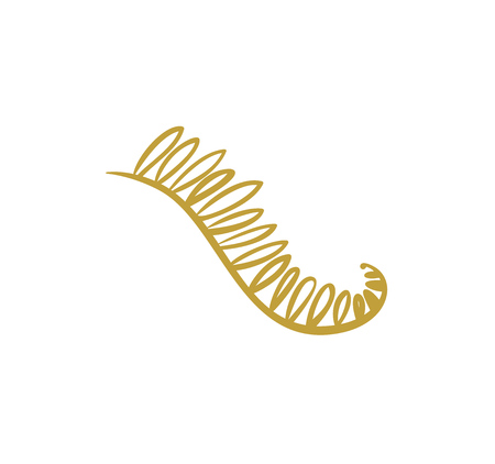 Doodle hand drawn palm branch with leaves isolated on whiteのイラスト素材