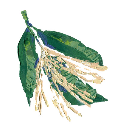 Sourwood oil painting illustration. Brunch with flowers and leaves isolated on white.の写真素材
