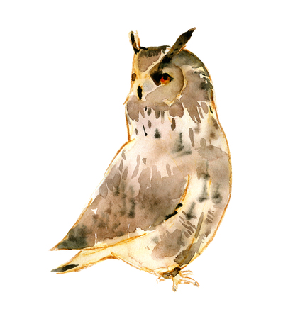 Watercolor eagle-owl illustration isolated on white. Natural color.の写真素材