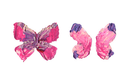 Grunge butterfly wings with oil painting texture isolated on white backgroundの写真素材