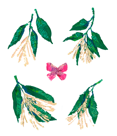 Blooming sourwood branches set and pink butterfly isolated on whiteの写真素材