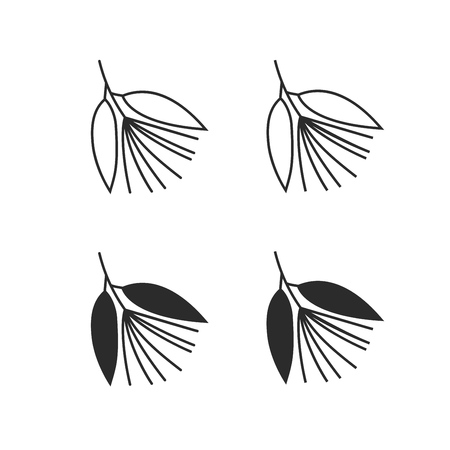 Vector illustration of sourwood plant with flowers isolated on white background. Icon set.のイラスト素材