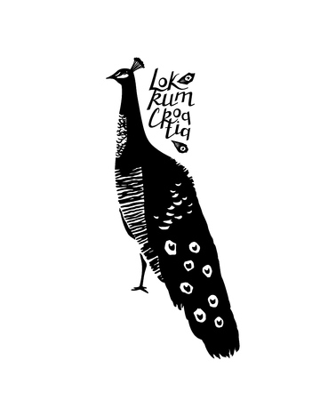 Peacock bird with lettering Locrum Croatia. Vector illustration isolated on whiteのイラスト素材