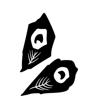 Peacock bird feather icons isolated on white backgroundのイラスト素材