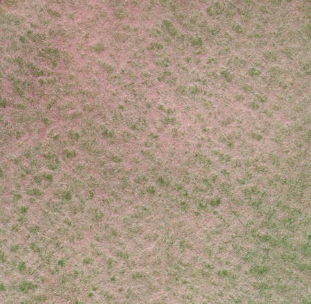 Abstract watercolor background in swamp colors with paper textureの写真素材