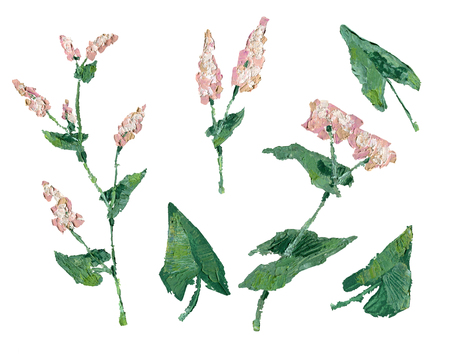 Buckwheat plant oil painting illustration. Brunch with flowers and leaves set.の写真素材