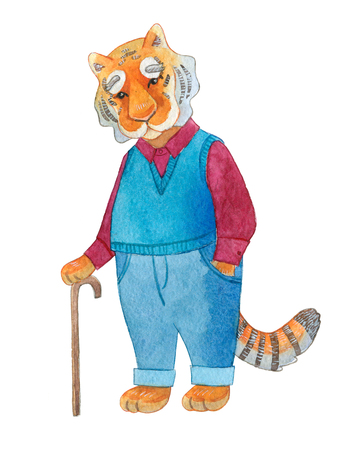 Cute watercolor old tiger character isolated on whiteの写真素材