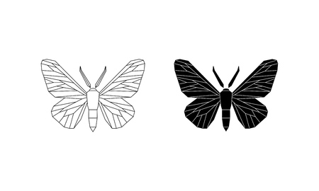 Peppered moth, Biston betularia melanic and light form. Moths in the family Geometridae vector illustration isolated on white background.のイラスト素材