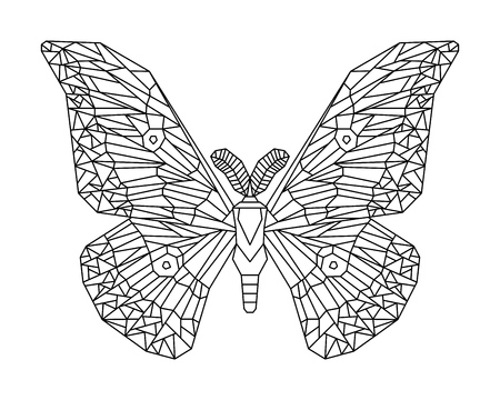 Japanese silk moth stylized vector illustrationのイラスト素材