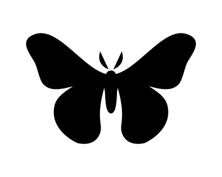 Hyalophora cecropia, cecropia moth stylized vector icon on whiteのイラスト素材