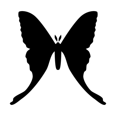 Comet moth vector icon isolated on white background. Femaleのイラスト素材