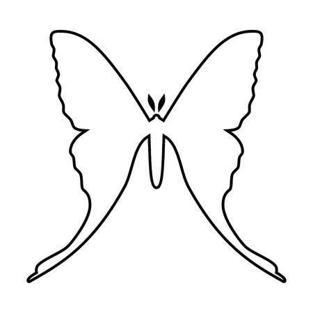 Comet moth vector icon isolated on white background. Femaleのイラスト素材
