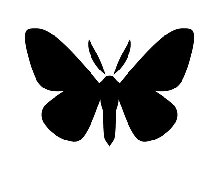 Peppered moth, Biston betularia . Moths in the family Geometridae vector iconのイラスト素材