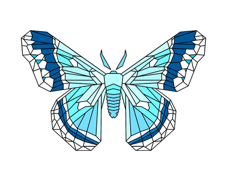 Hyalophora cecropia, cecropia moth stylized vector illustration in blue colors isolated on white backgroundのイラスト素材