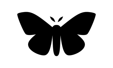 Imperial Moth, Eacles imperialis vector illustration isolated on a white backgroundのイラスト素材