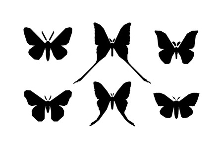 Set of icons of various moth isolated on white backgroundのイラスト素材
