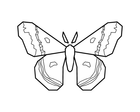 Hyalophora cecropia, cecropia moth stylized vector icon on whiteのイラスト素材
