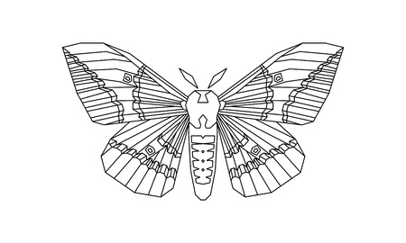 Imperial Moth, Eacles imperialis vector illustration isolated on a white backgroundのイラスト素材