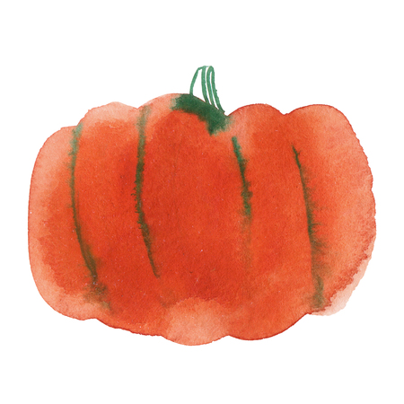 Watercolor pumpkin isolated on white, holiday illustrationの写真素材