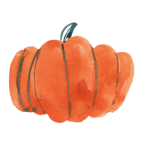 Watercolor pumpkin isolated on white, holiday illustrationの写真素材