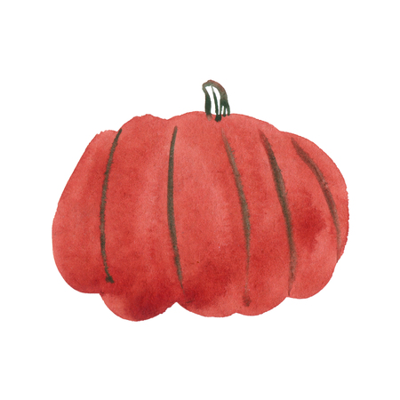 Watercolor pumpkin isolated on white, holiday illustrationの写真素材