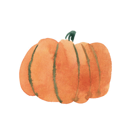 Watercolor pumpkin isolated on white, holiday illustrationの写真素材