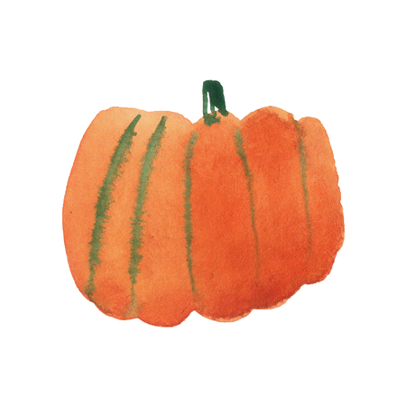 Watercolor pumpkin isolated on white, holiday illustrationの写真素材