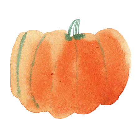 Watercolor pumpkin isolated on white, holiday illustrationの写真素材