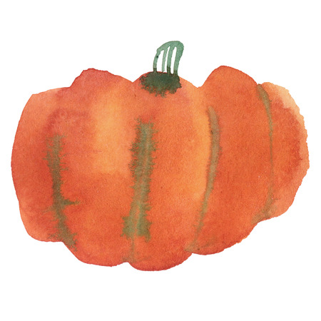 Watercolor pumpkin isolated on white, holiday illustrationの写真素材
