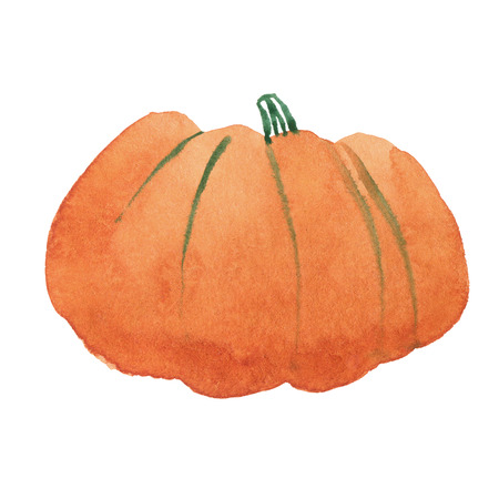 Watercolor pumpkin isolated on white, holiday illustrationの写真素材