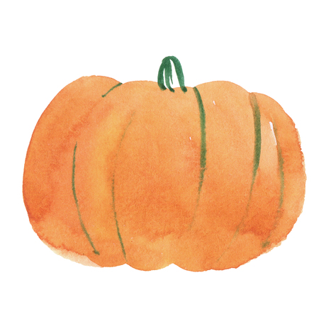 Watercolor pumpkin isolated on white, holiday illustrationの写真素材
