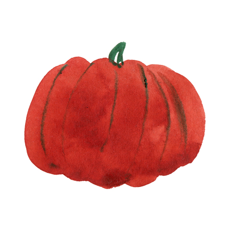 Watercolor pumpkin isolated on white, holiday illustrationの写真素材