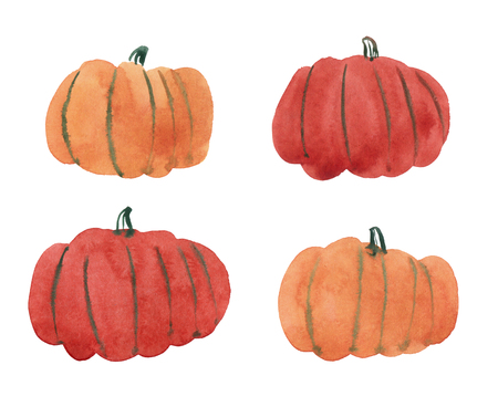 Watercolor hand drawn illustration Happy Thanksgiving Pumpkin on white backgroundの写真素材