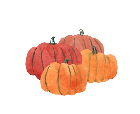 Watercolor hand drawn illustration Happy Thanksgiving Pumpkin on white backgroundの写真素材