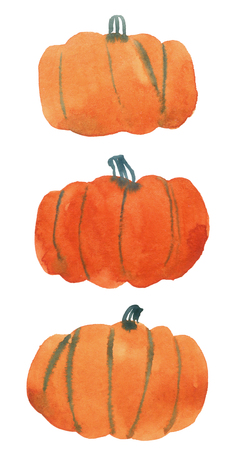 Watercolor hand drawn illustration Happy Thanksgiving Pumpkin on white backgroundの写真素材