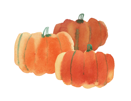Watercolor hand drawn illustration Happy Thanksgiving Pumpkin on white backgroundの写真素材