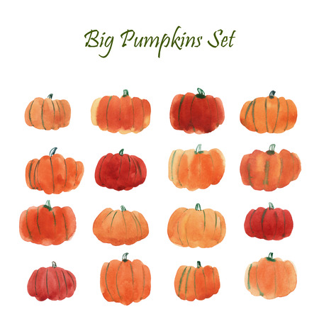 Big watercolor pumpkin collection, illustration isolated on white backgroundの写真素材