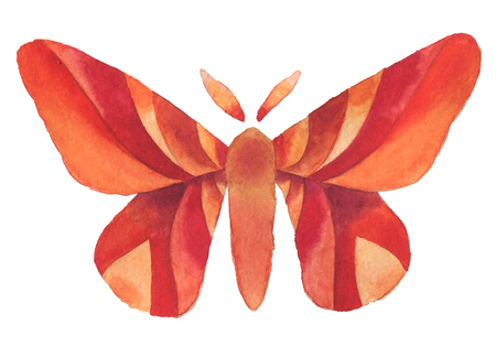 Watercolor decorative fantasy red, orange and yellow vintage butterfly isolated on white background.の写真素材