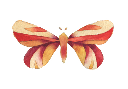 Watercolor decorative fantasy red, orange and yellow vintage butterfly isolated on white background.の写真素材