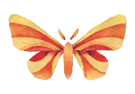 Watercolor decorative fantasy red, orange and yellow vintage butterfly isolated on white background.の写真素材