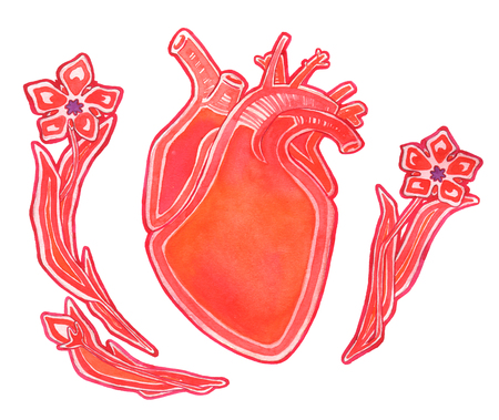 Watercolor realistic human heart with flowers isolated on white backgroundの写真素材